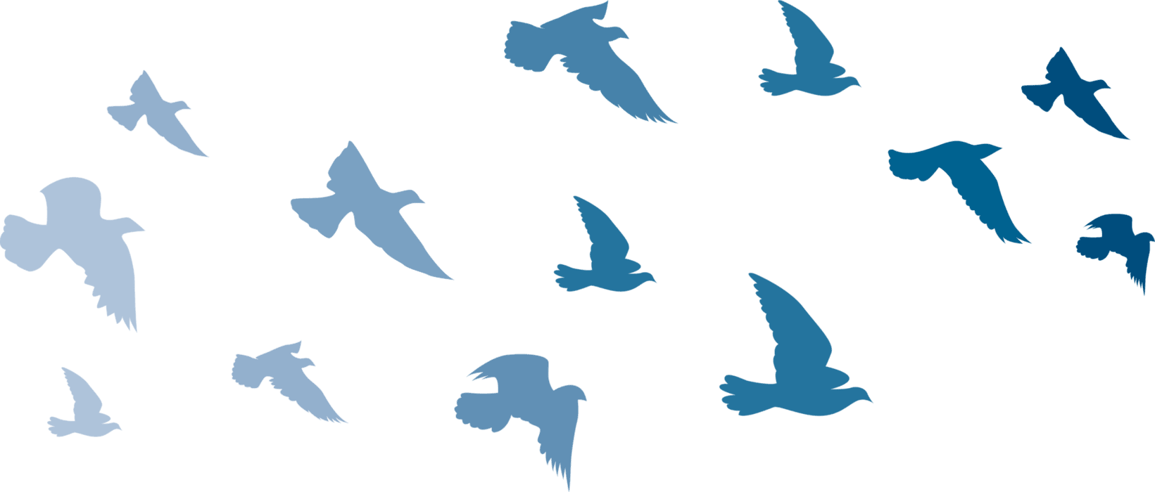 Decorative bird graphic